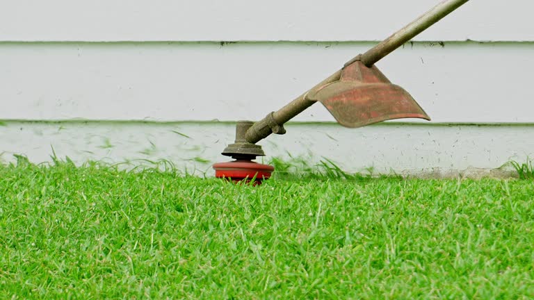 Best Lawn Disease Treatment  in Big Bass Lake, PA